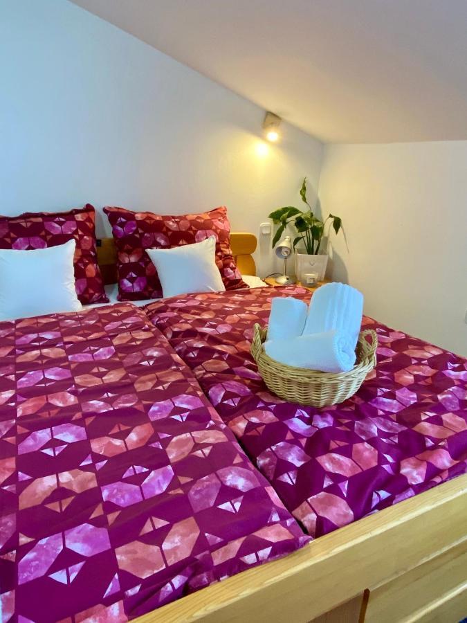 Apartma Bernard 拉多夫吉卡 外观 照片